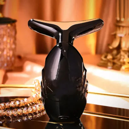 Multifunctional Face Massage Inductive Instrument